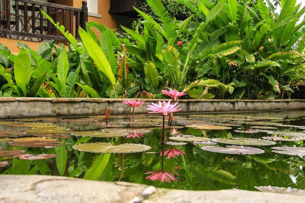 Nepal Spa activities