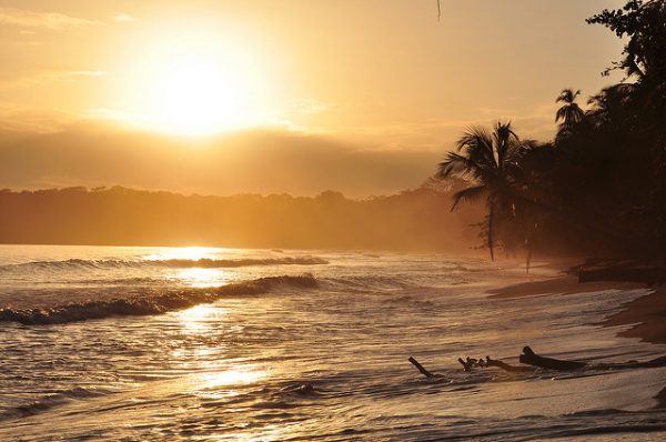 Immerse yourself in a new language from the comfort of a beach in Costa Rica