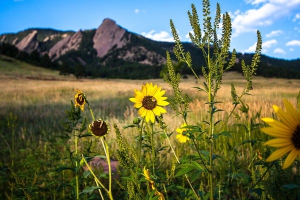 HIking Shadow Canyon in Boulder, CO