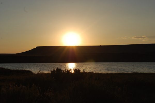 Catnip Reservoir, a manmade lake whose marshes teem with life and activity.