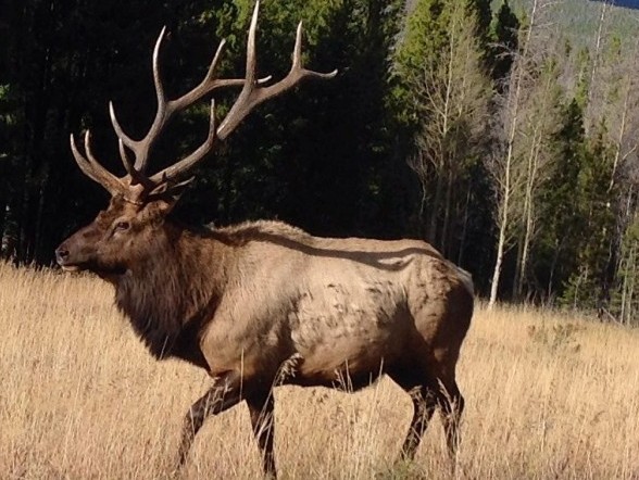 Rocky Mountain National Park