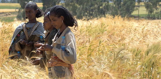 Tigrinya women around the Gheralta Mountains, Northern Ethiopia Image – Sam McManus