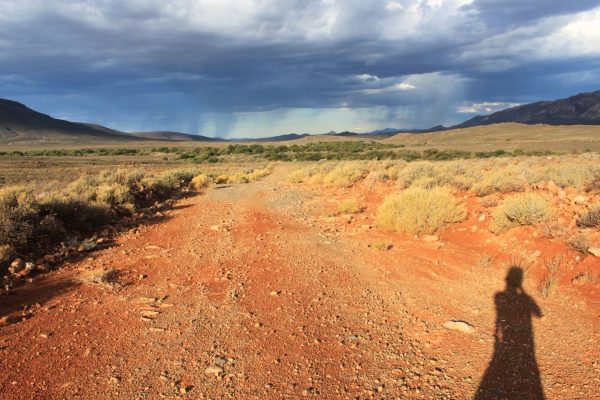 Alone in the empty Karoo desert