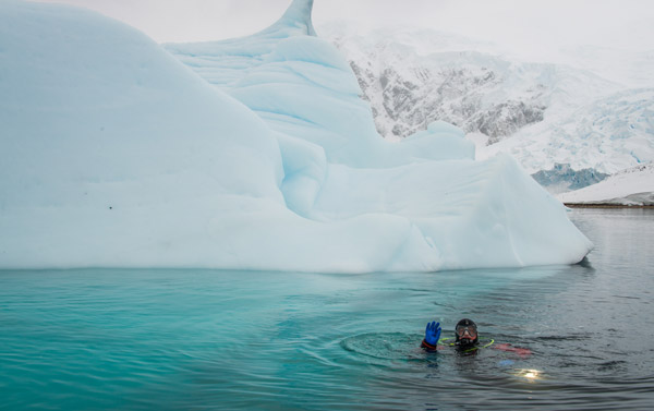 Snorkeling in the Arctic. Photo by Aurora Expeditions