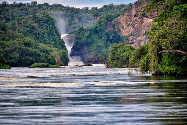 nile gorilla trekking impenetrable forest bwindi uganda