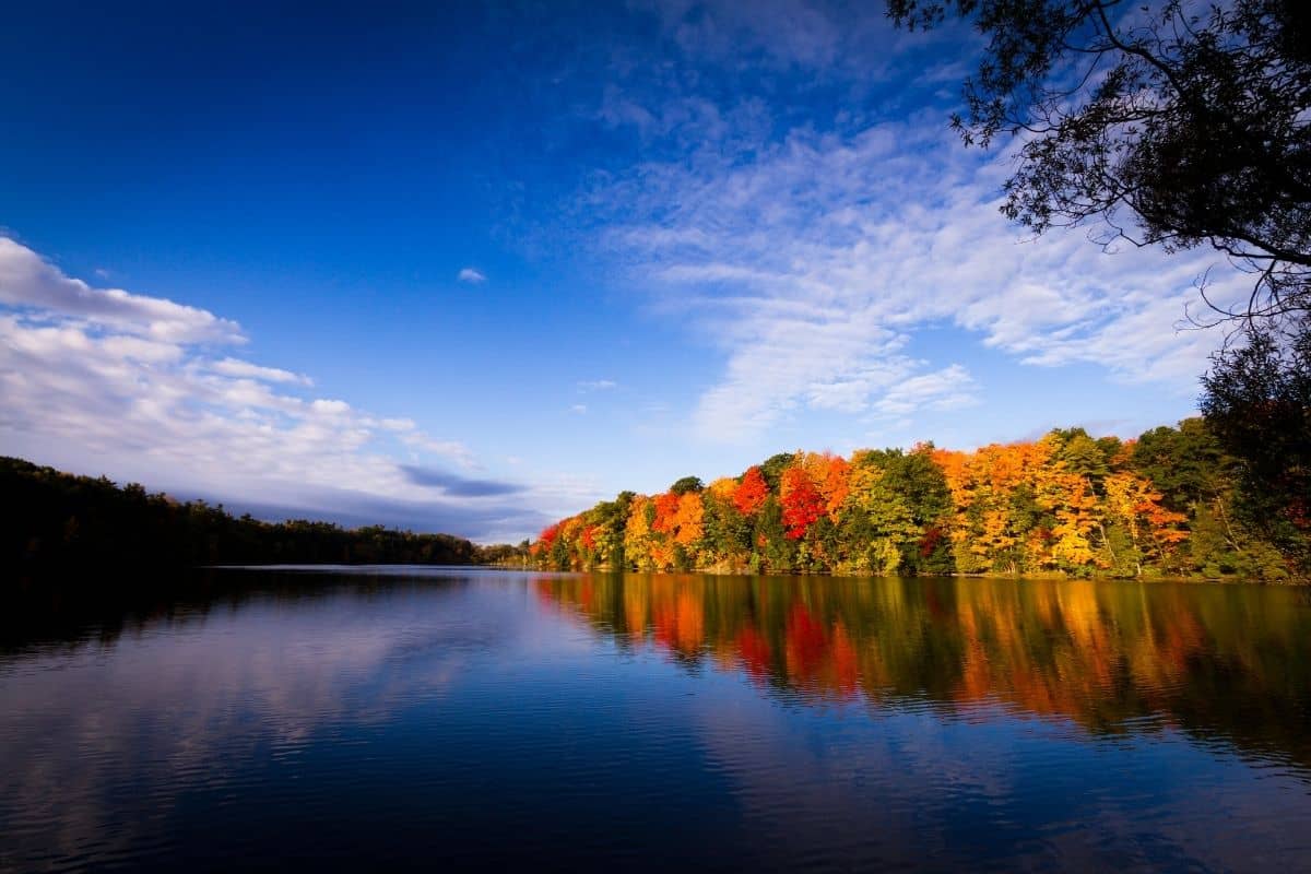 13 spektakuläre Routen, um die Herbstfarben in Ontario, Kanada, zu sehen