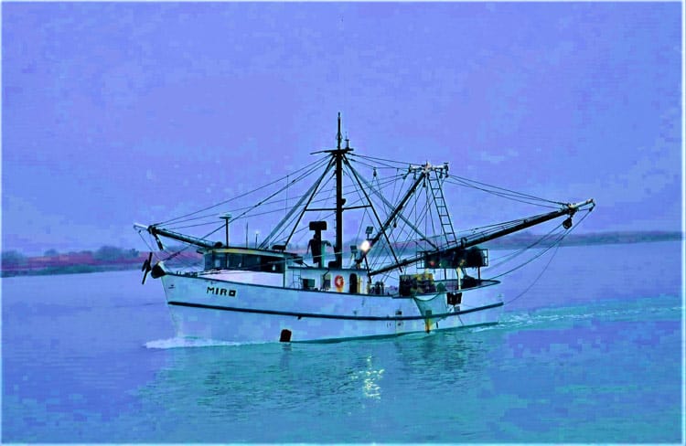 Find Fine Fishing, Much More on South Padre Island, Texas
