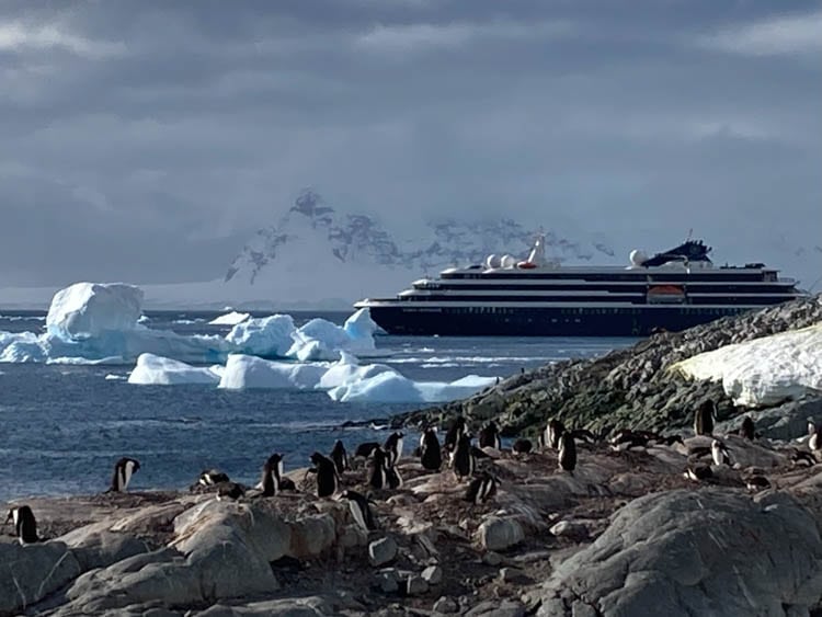 Ship and penguins, Cuverville Island