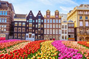 Must-see Places to Enjoy on a Family Trip to Amsterdam